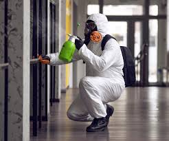 Best Emergency Mold Remediation  in Fabens, TX